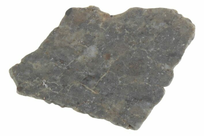 Lunar Meteorite ( g) Slice - Laayoune #381691